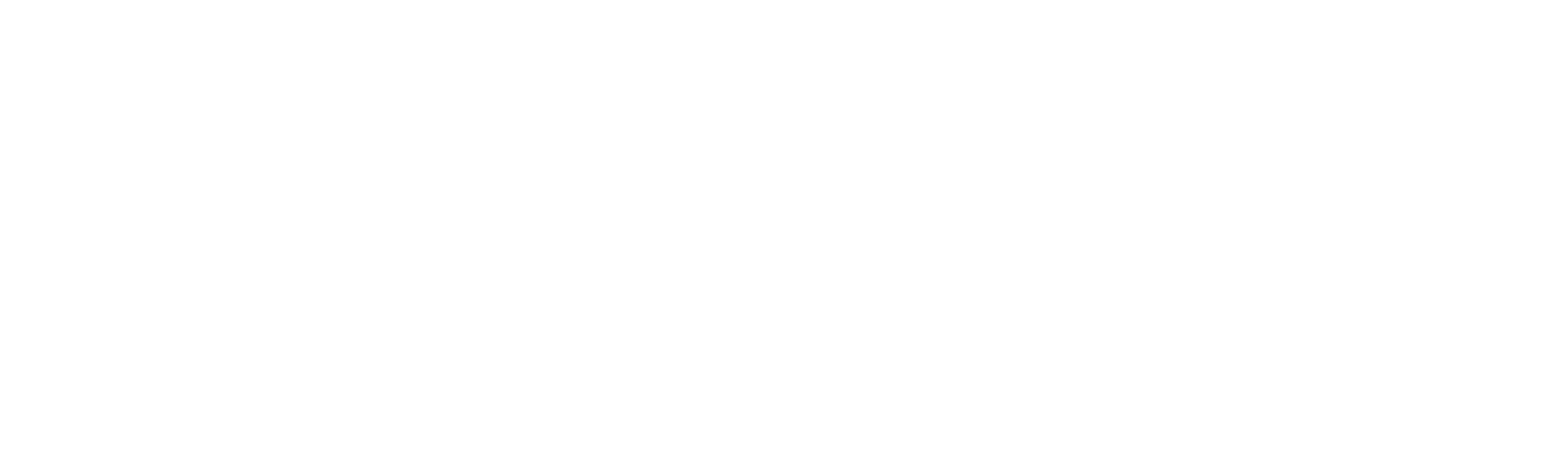 Drive Wellness & Physio Co. logo
